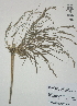  ( - XAL-13)  @11 [ ] Copyright  T. Mejia 2012 Unspecified