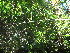  ( - XAL-18)  @11 [ ] Copyright  T. Mejia 2010 Unspecified