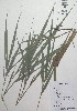  ( - XAL-18)  @11 [ ] Copyright  T. Mejia 2010 Unspecified