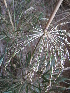  ( - XAL-19)  @11 [ ] Copyright  T. Mejia 2010 Unspecified