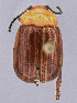  ( - CCDB-19515-G09)  @11 [ ] by-nc-nd (2024) Hume Douglas Agriculture and Agri-Food Canada