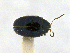  ( - CCDB19514_CNC_P1A11)  @11 [ ] Copyright (2020) AAFC AAFC