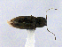  ( - CCDB19514_CNC_P1B1)  @11 [ ] Copyright (2020) AAFC AAFC