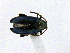  ( - CCDB19514_CNC_P1B11)  @11 [ ] Copyright (2020) AAFC AAFC