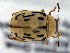  ( - CCDB19514_CNC_P1D6)  @11 [ ] Copyright (2020) AAFC AAFC