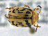  ( - CCDB19514_CNC_P1D7)  @11 [ ] Copyright (2020) AAFC AAFC