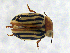  ( - CCDB19514_CNC_P1D8)  @11 [ ] Copyright (2020) AAFC AAFC