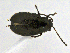  ( - CCDB19514_CNC_P1E10)  @11 [ ] Copyright (2020) AAFC AAFC