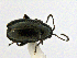  ( - CCDB19514_CNC_P1E12)  @11 [ ] Copyright (2020) AAFC AAFC