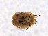  ( - CCDB19514_CNC_P1H11)  @11 [ ] Copyright (2020) AAFC AAFC