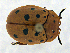  ( - CCDB19514_CNC_P1H9)  @11 [ ] Copyright (2020) AAFC AAFC