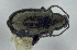  ( - CNC-HD-00081)  @11 [ ] Copyright (2018) AAFC AAFC