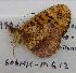  ( - 606NK-MG12)  @12 [ ] Unspecified (default): All Rights Reserved  Unspecified Unspecified