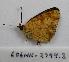  ( - 606NK-2794.3)  @13 [ ] Unspecified (default): All Rights Reserved  Unspecified Unspecified