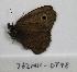  ( - 762NK-DT48)  @13 [ ] Unspecified (default): All Rights Reserved  Unspecified Unspecified