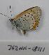  ( - 762NK-18111)  @13 [ ] Unspecified (default): All Rights Reserved  Unspecified Unspecified