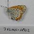  ( - 762NK-18112)  @13 [ ] Unspecified (default): All Rights Reserved  Unspecified Unspecified