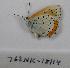  ( - 762NK-18114)  @13 [ ] Unspecified (default): All Rights Reserved  Unspecified Unspecified