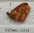  ( - 763NK-2376)  @12 [ ] Unspecified (default): All Rights Reserved  Unspecified Unspecified