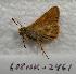  ( - 608NK-2461)  @12 [ ] Unspecified (default): All Rights Reserved  Unspecified Unspecified