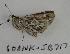  ( - 608NK-JB717)  @13 [ ] Unspecified (default): All Rights Reserved  Unspecified Unspecified