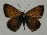  ( - 612NK-BB6846)  @13 [ ] Unspecified (default): All Rights Reserved  Unspecified Unspecified