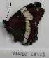  ( - 766NK-28323)  @12 [ ] Unspecified (default): All Rights Reserved  Unspecified Unspecified