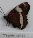  ( - 766NK-28321)  @12 [ ] Unspecified (default): All Rights Reserved  Unspecified Unspecified