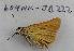  ( - 604NK-JB222)  @13 [ ] Unspecified (default): All Rights Reserved  Unspecified Unspecified
