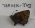  ( - 760NK-TU3)  @13 [ ] Unspecified (default): All Rights Reserved  Unspecified Unspecified