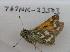  ( - 767NK-23503)  @12 [ ] Unspecified (default): All Rights Reserved  Unspecified Unspecified