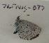  ( - 765NK-DT7)  @12 [ ] Unspecified (default): All Rights Reserved  Unspecified Unspecified