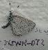  ( - 765NK-DT2)  @12 [ ] Unspecified (default): All Rights Reserved  Unspecified Unspecified
