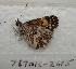  ( - 767NK-2615)  @13 [ ] Unspecified (default): All Rights Reserved  Unspecified Unspecified