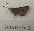  ( - 767NK-2613)  @12 [ ] Unspecified (default): All Rights Reserved  Unspecified Unspecified