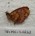  ( - 767NK-26623)  @12 [ ] Unspecified (default): All Rights Reserved  Unspecified Unspecified