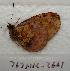  ( - 767NK-2661)  @12 [ ] Unspecified (default): All Rights Reserved  Unspecified Unspecified