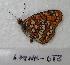  ( - 604NK-DT8)  @12 [ ] Unspecified (default): All Rights Reserved  Unspecified Unspecified