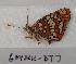  ( - 604NK-DT7)  @12 [ ] Unspecified (default): All Rights Reserved  Unspecified Unspecified
