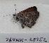  ( - 764NK-28152)  @13 [ ] Unspecified (default): All Rights Reserved  Unspecified Unspecified