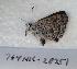  ( - 764NK-28151)  @13 [ ] Unspecified (default): All Rights Reserved  Unspecified Unspecified