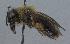  ( - Bee3-11)  @13 [ ] Copyright (2010) Unspecified Unspecified