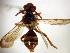  ( - Bee20-7)  @13 [ ] Copyright (2010) Unspecified Unspecified