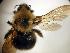  ( - Bee25-13)  @13 [ ] Copyright (2010) Unspecified Unspecified