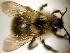  ( - Bee25-14)  @15 [ ] Copyright (2010) Unspecified Unspecified