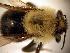  ( - Bee25-16)  @12 [ ] Copyright (2010) Unspecified Unspecified