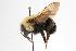  ( - Bee25-19)  @12 [ ] Copyright (2010) Unspecified Unspecified