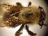  ( - Bee25-20)  @12 [ ] Copyright (2010) Unspecified Unspecified