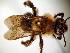  ( - Bee3-11)  @13 [ ] Copyright (2010) Unspecified Unspecified