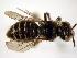 ( - Bee6-1)  @13 [ ] Copyright (2010) Unspecified Unspecified